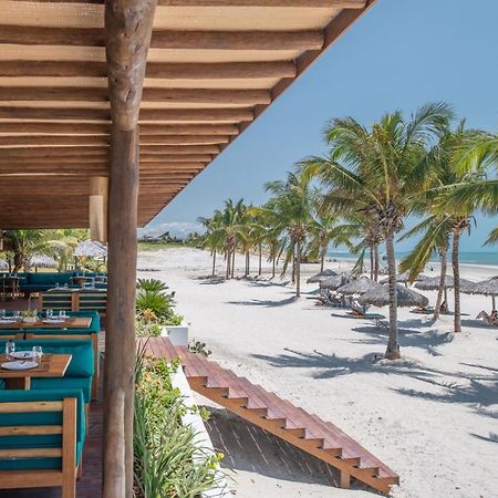 Vila Selvagem Hotel Contemporaneo 포르팀 외부 사진